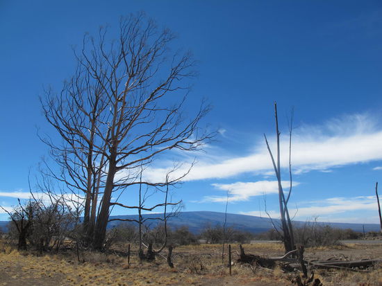Dreht man sich um sieht man den Mauna Loa, ein Stückchen weiter weg