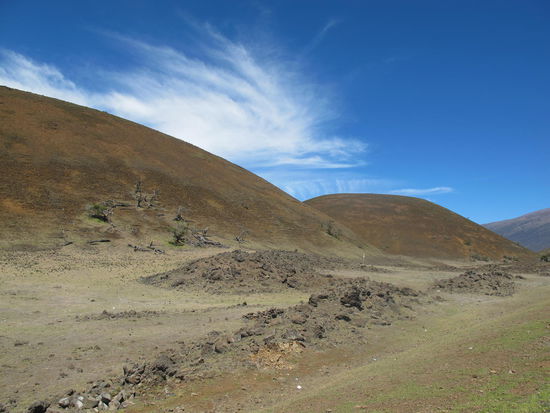 Auf denen sind sie rumgeklettert