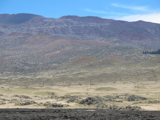 Des müßte sie dann sein