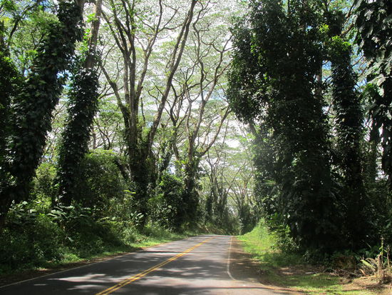 So ungefähr sah die Anfahrt aus