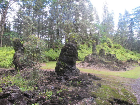 Mehrere Lava Trees 