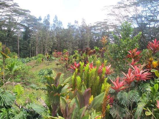 War sehr schön dort und wie ich ankam fast nix los