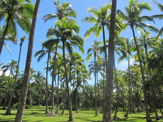 Ein Teil des Beach Parks