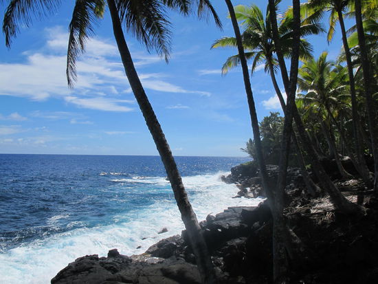 Die Küste am Highway