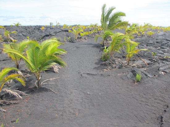 Mußte danach meine Schuhe ausleeren, war schwarzer Sand drinnen 