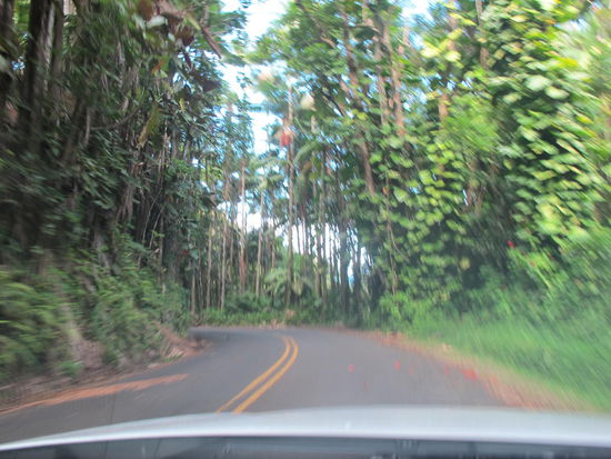 Pepe'ekeo Scenic Drive