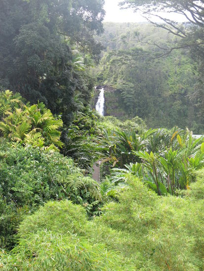 Akaka Falls von Weitem