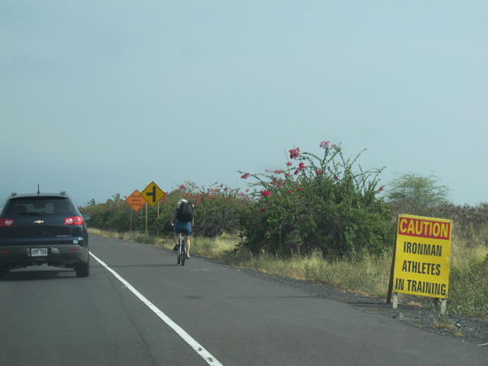 Dies hab ich dann nachmittags gesehen