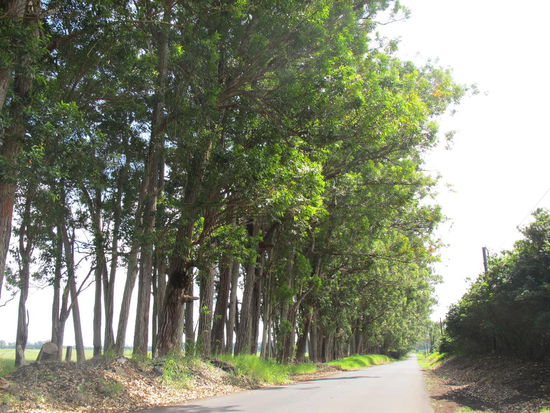 Hier gabs ne kurze Snackpause