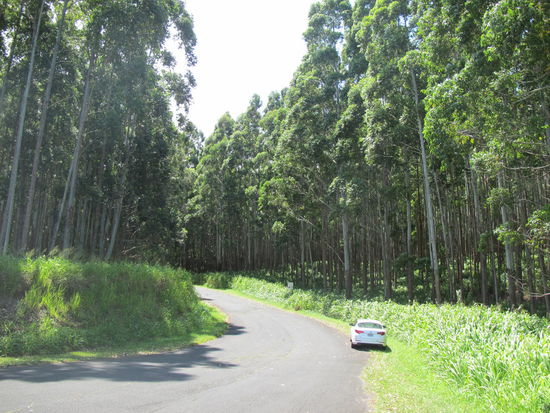 Ich mußte wiedermal aufm Weg anhalten