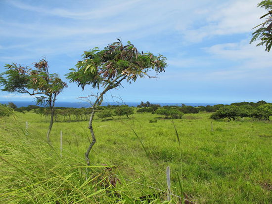Von den Farben konnt ich net genug bekommen