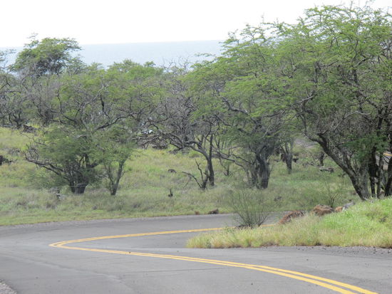 Kurvige Anfahrt zum Beach