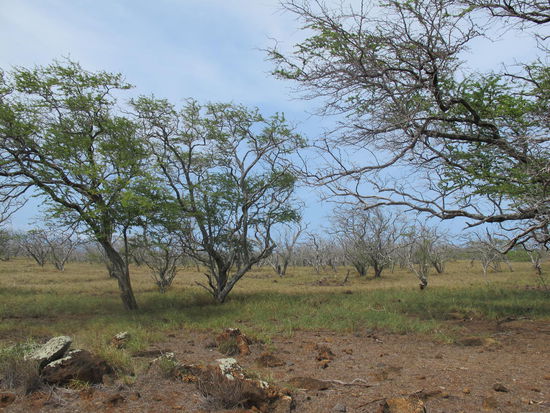 Rückfahrt zum Highway