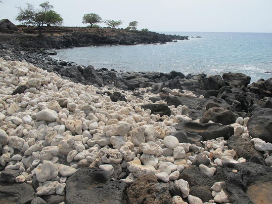 Die weißen Steine sind scho ausgebleicht 
