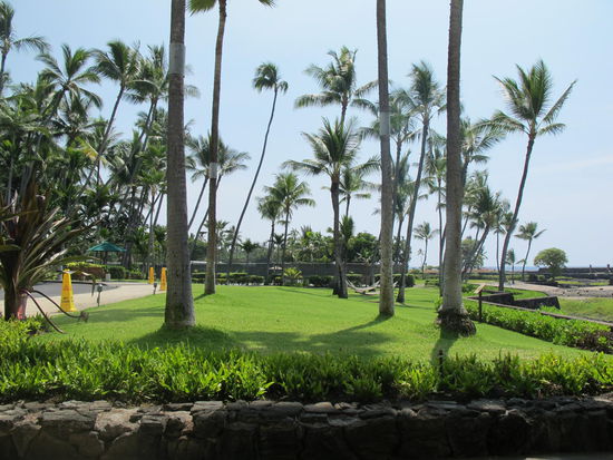 Die Schaukelstuhlsicht 