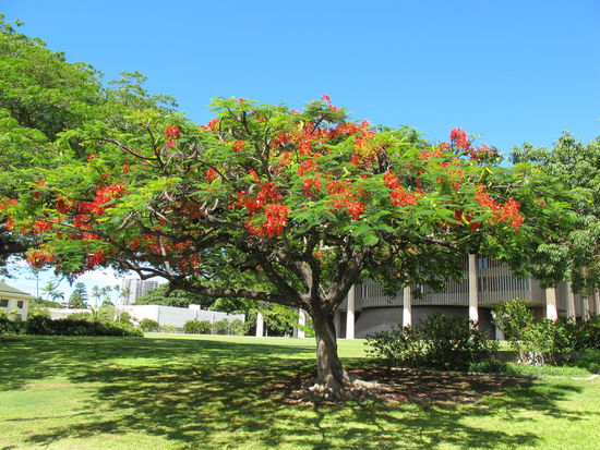Mal ein bißchen Natur