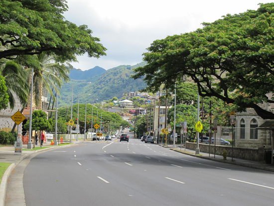 Da gehts in die Hügel Honolulu's