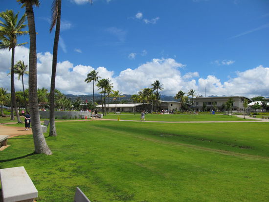 Die Hälfte des frei zugänglichen Bereichs