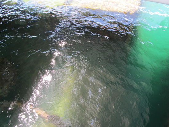 Durch ein "Loch" im Memorial kann man sehen was direkt unter einem ist, schon ein komisches Gefühl, wo ja glaub ich an die 900 Soldaten nie geborgen wurden