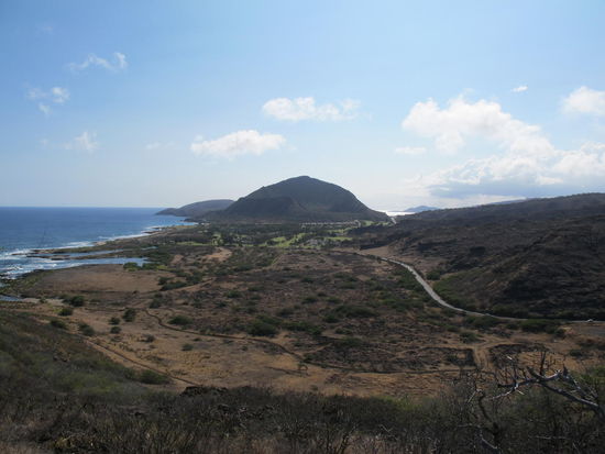 Diesmal scho näher an der Küste