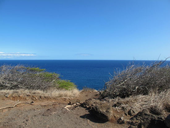 Der Pazifik, hier soll man im Winter auch gut Wale beobachten können