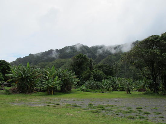 Beim Kapa'ele'ele Trail