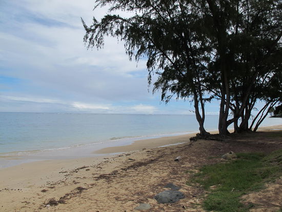 Punalu'u Beach Park