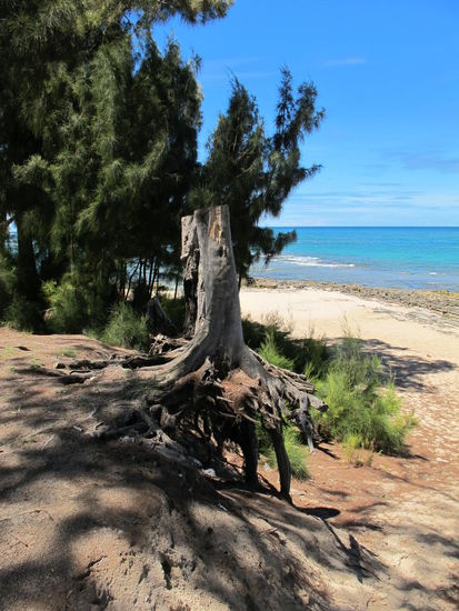Der Beach ohne Namen 