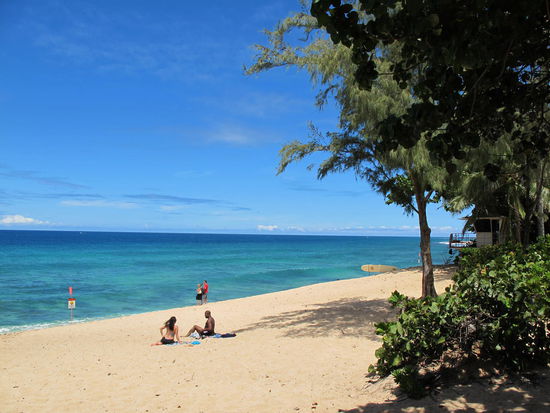 'Ehukai Beach Park