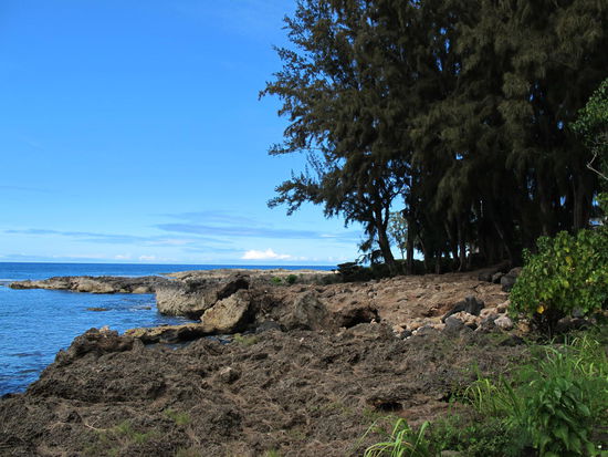 Kurz nach Sharkes Cove