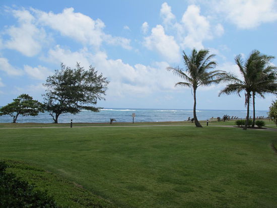 Blick vom Zimmer aus