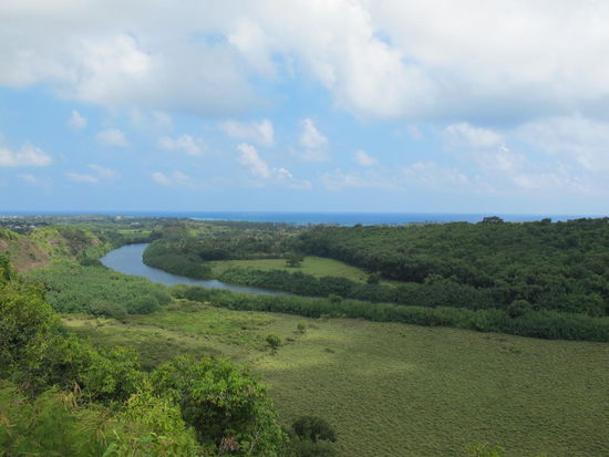 Wailua River mit Blick zum Meer
