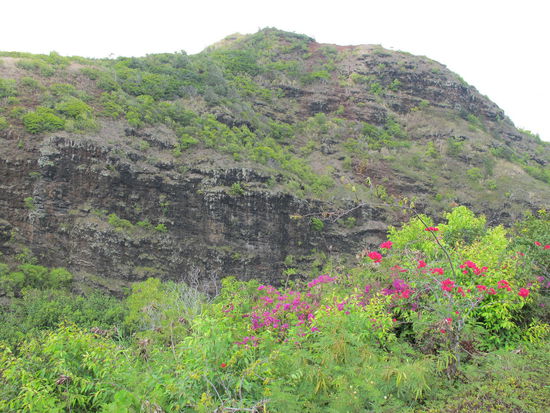 Bei den 'Opaeka'a Falls