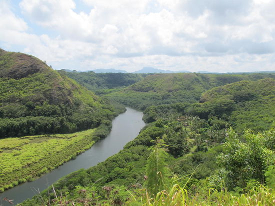 Wailua River, auf ihm waren viele Kanuten unterwegs, rechts neben dem Fluß das Hawaiian Village
