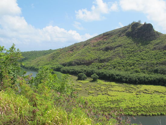 Is wirklich schön grün hier