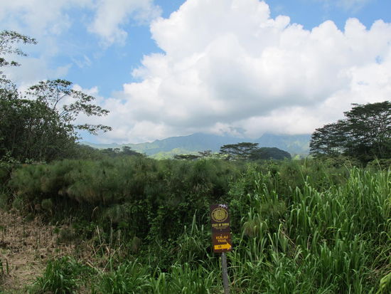 Am Stop, an dem er vorbeizog