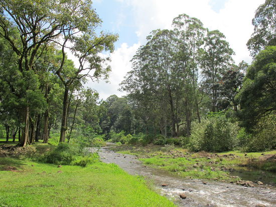 Auf beiden Seiten waren schöne Picknickplätze, welche auch belegt waren