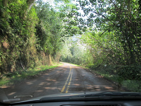 Manchmal wars richtig dunkel durch den Wald