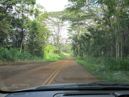 Des kommt auf dem Bild net so raus, aber die Straße war fast ganz rot, für 5 Meter ungefähr. Sieht gut aus die rote Straße in dieser grünen Umgebung