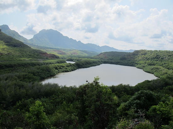 Alekoko (Menehune) Fishpond