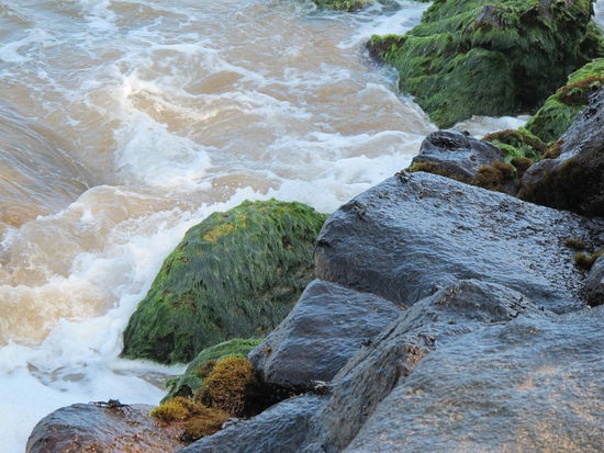 Auf dem schwarzen Stein in der Mitte sind ein paar schwarze Krebse zu erkennen