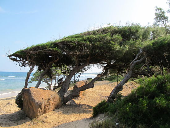 Beim Strand des Zeltplatzes