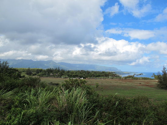 Rückweg vom Leuchtturm zum Highway 56