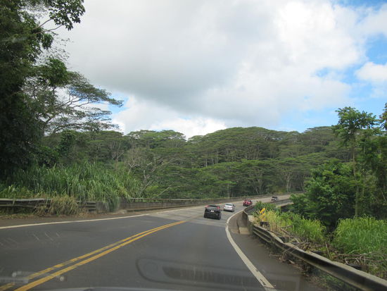 Fast wie in Indianapolis 