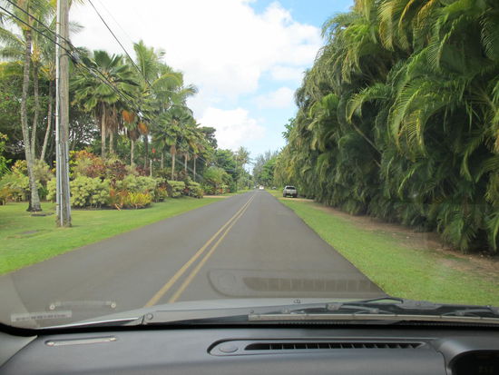 Das is mal ne schöne Umgebung von ner Straße