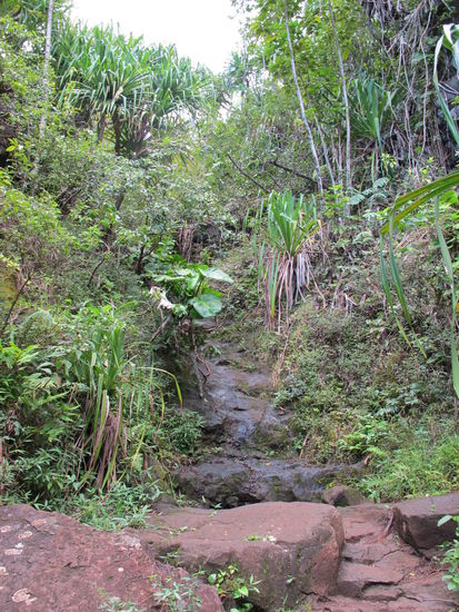 Ab und zu muß man auch mal ein Bächlein überqueren