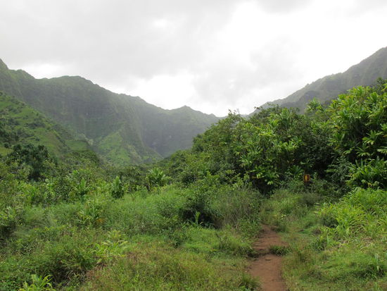 Das war der Trail zu den Hanakapi Falls