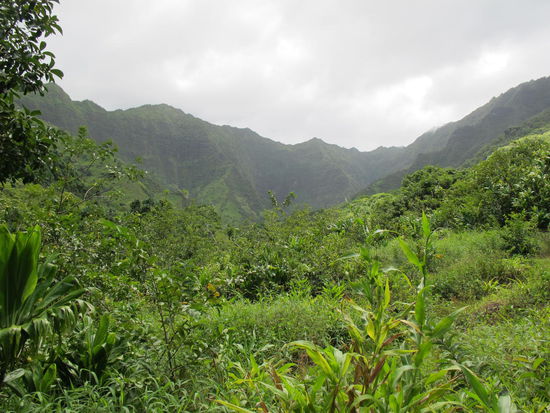 Da mußte ich irgendwie an Jurassic Park denken