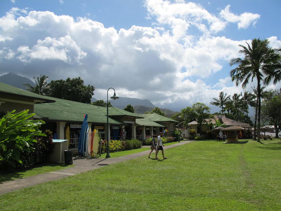 Mitten in Hanalei
