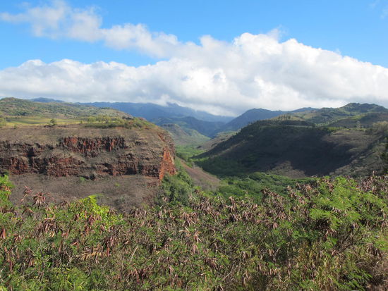 Hanapepe Valley Lookout